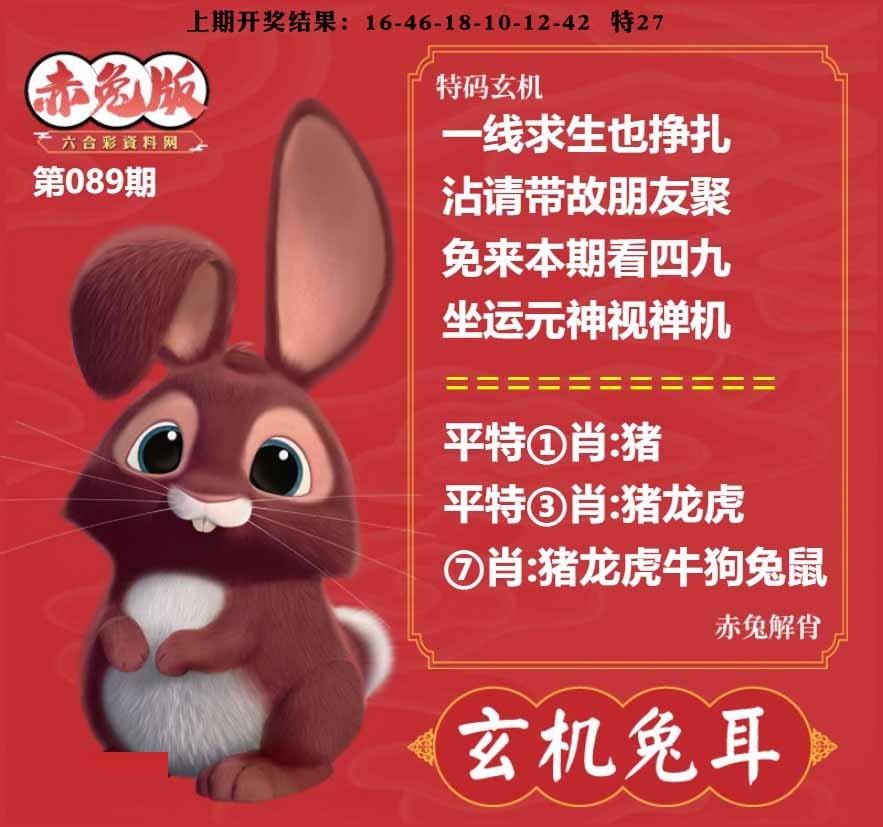 089期玄机兔耳[图]