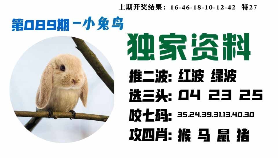 089期小兔鸟[图]